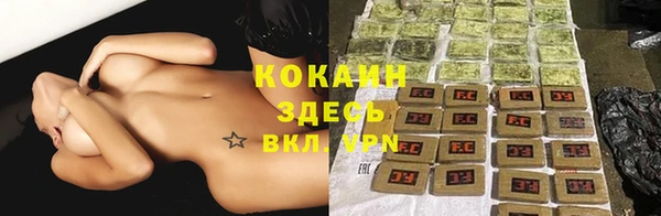 твердый Аркадак