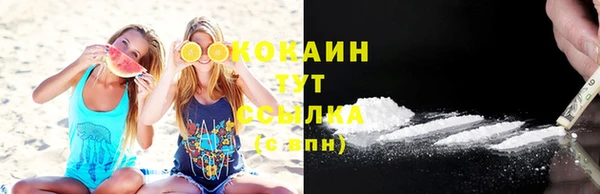 бошки Арсеньев