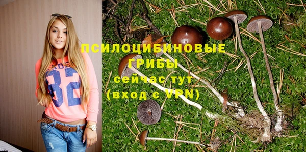 твердый Аркадак