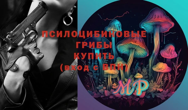 твердый Аркадак