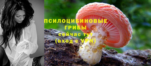 бошки Арсеньев