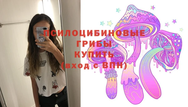 твердый Аркадак